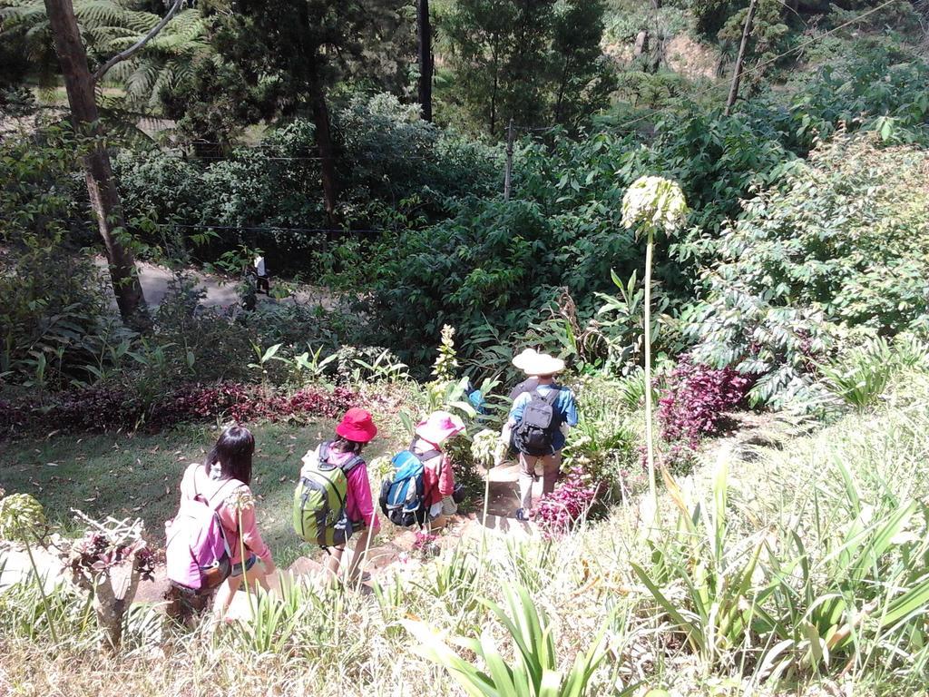 Park View Guest House Nuwara Eliya Ngoại thất bức ảnh
